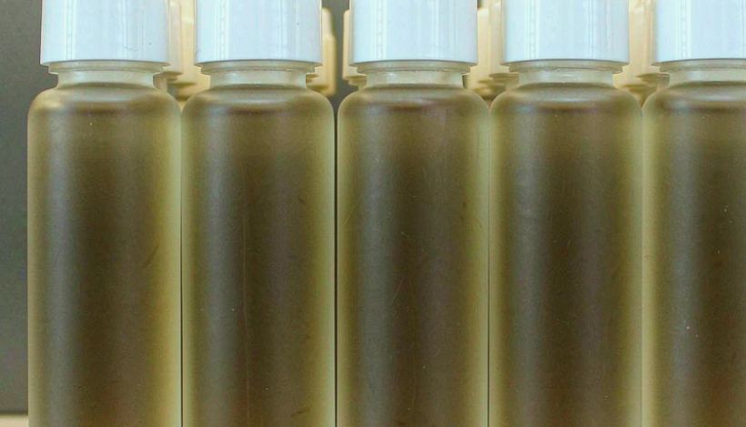 Certified Mesh Coil Vapor Pods: Range Mix for Gift Retailers — Mesh Coil Huge Vapor Pods Bulk