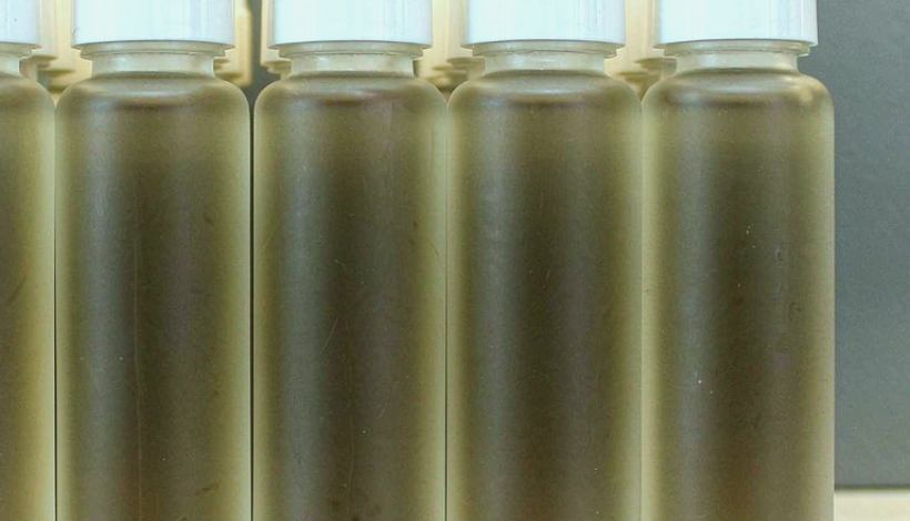Contract Terms for Wholesalers — OEM Mesh Coil Vapor Pods — Mesh Coil Huge Vapor Pods Bulk