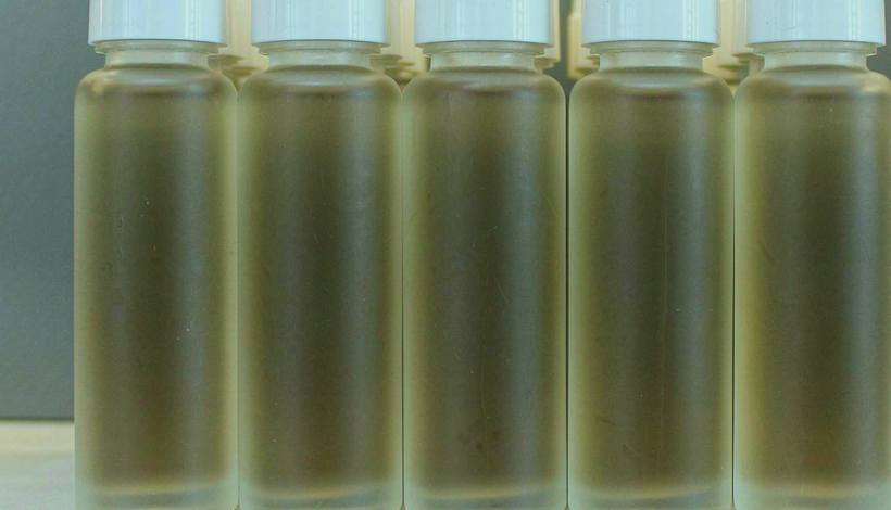 Reorder Cycles for Importers — Mesh Coil Vapor Pods Import — Mesh Coil Huge Vapor Pods Bulk